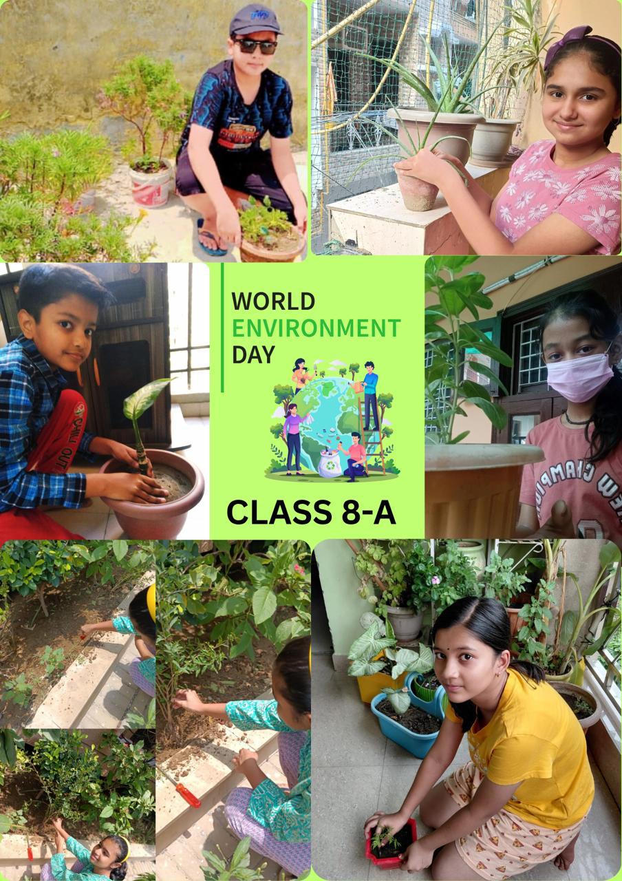 World Environment Day -5 June 2025
